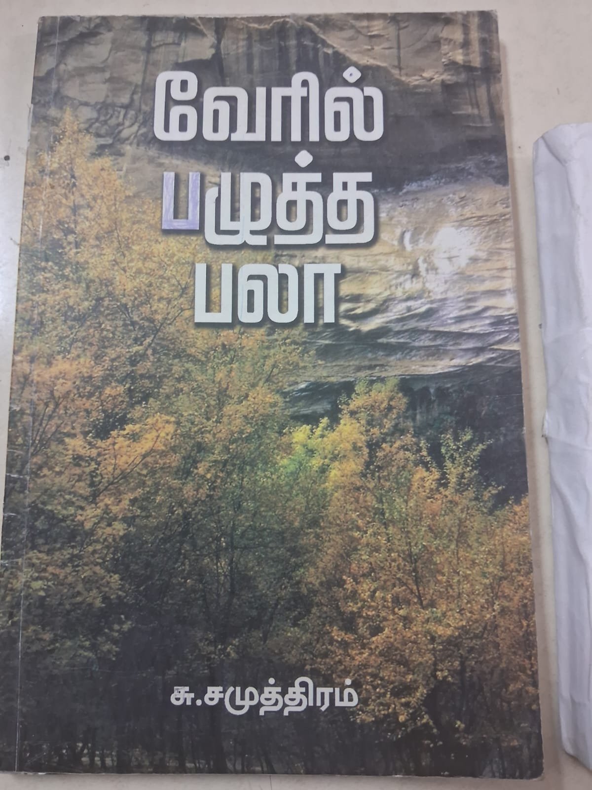 வேரில் பழுத்த பலா